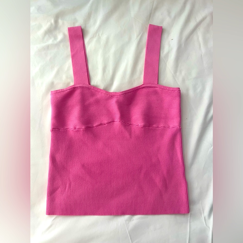 Lucy Paris Pink Crop Top